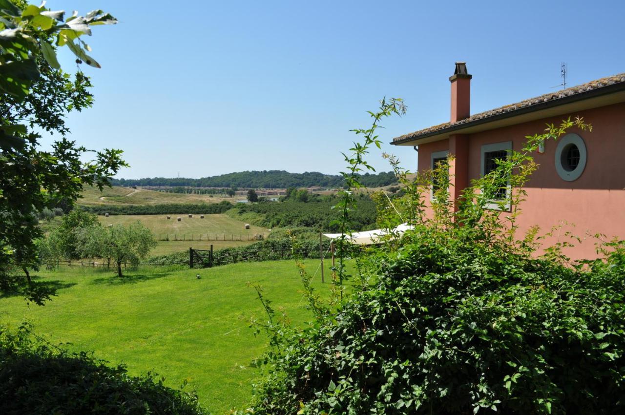 Bed and Breakfast Casale Vicino Al Golf Nazionale Monterosi Zewnętrze zdjęcie